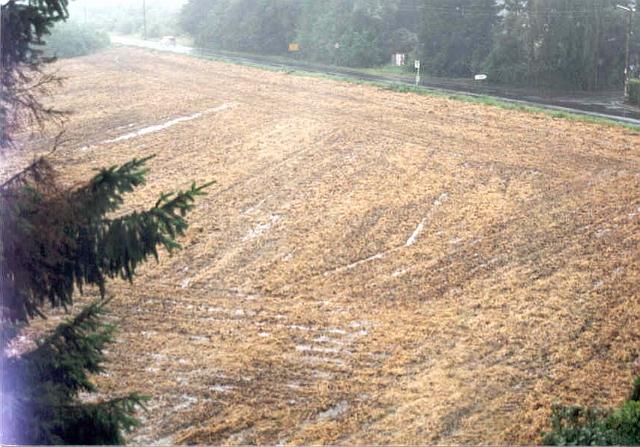 Juli 2002 -  h 2.jpg - Zwischen Rhönweg (ehem. Salinger Weg) und Ewald-Görshop-Straße - Durch das Befahren des Ackers wurde der Boden so verdichtet, dass das Wasser nicht versickert.